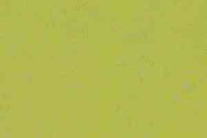 Линолеум Forbo Marmoleum Decibel on Order 374235 green glow фото  | FLOORDEALER